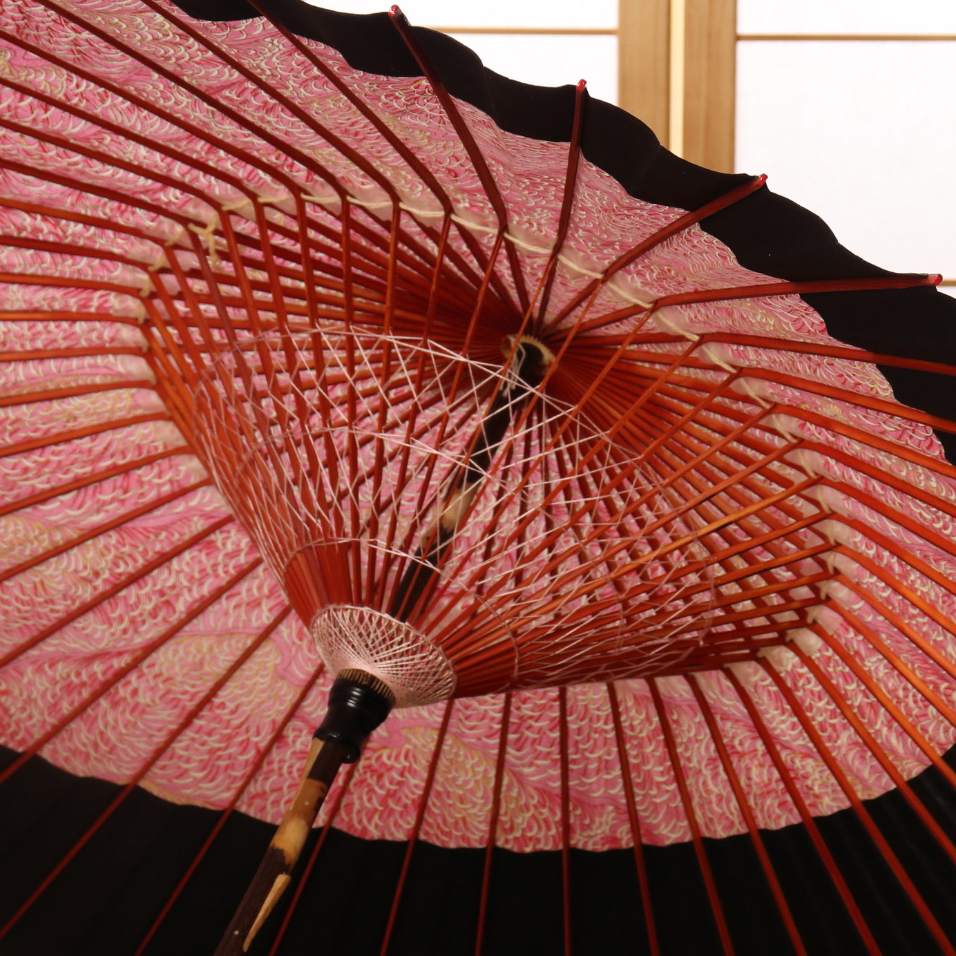 特選月奴 『姫菊に宵月』