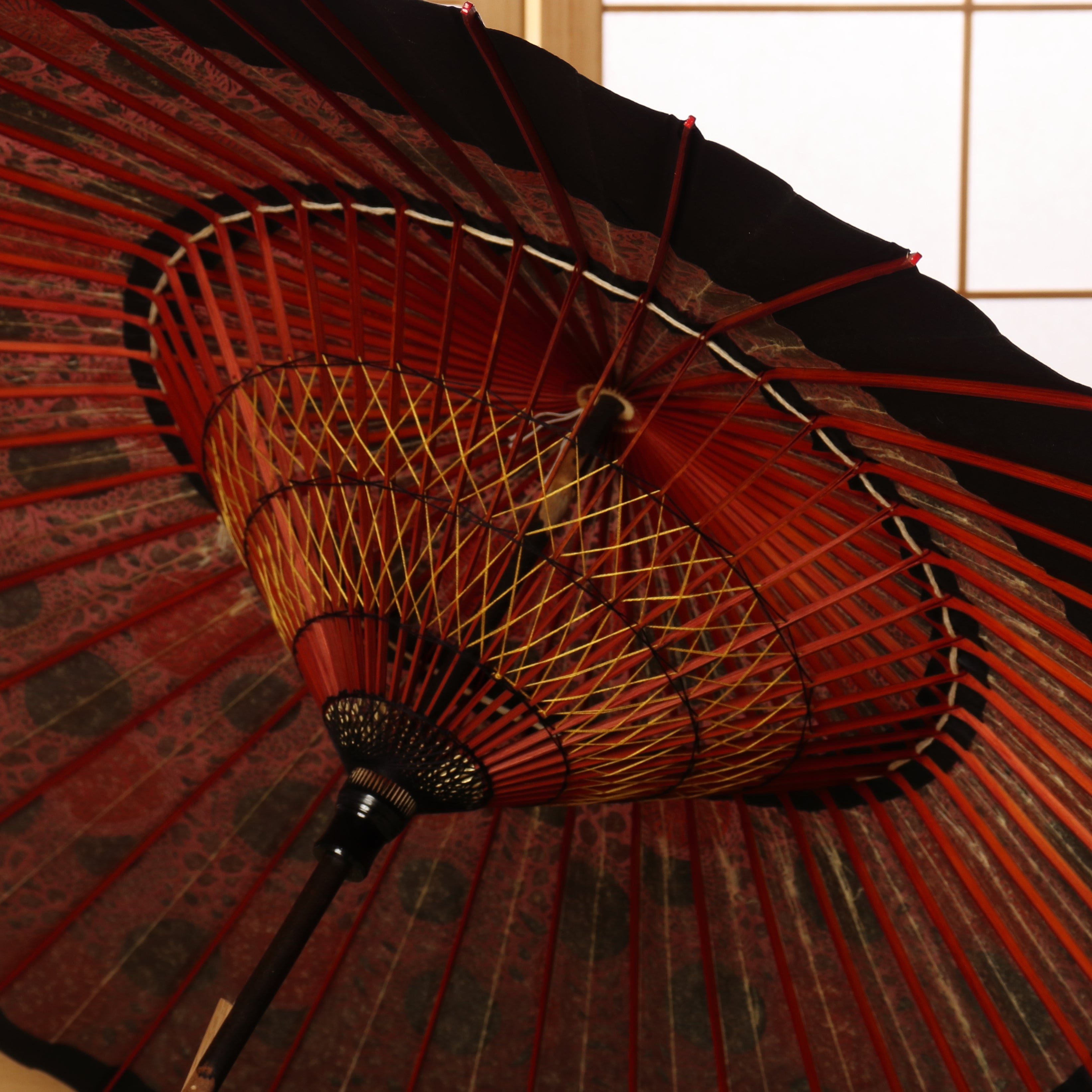 特選月奴 『菊唐草 に月影』