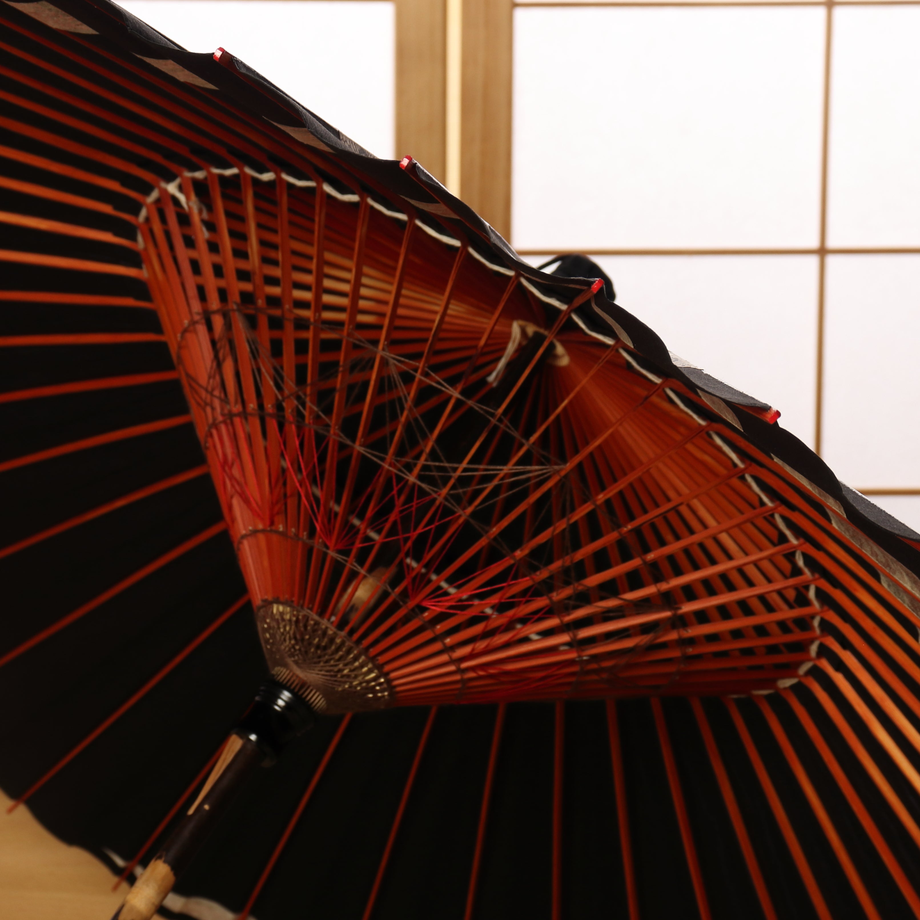 古典柄『巴』漆黒に菊唐草 金茶