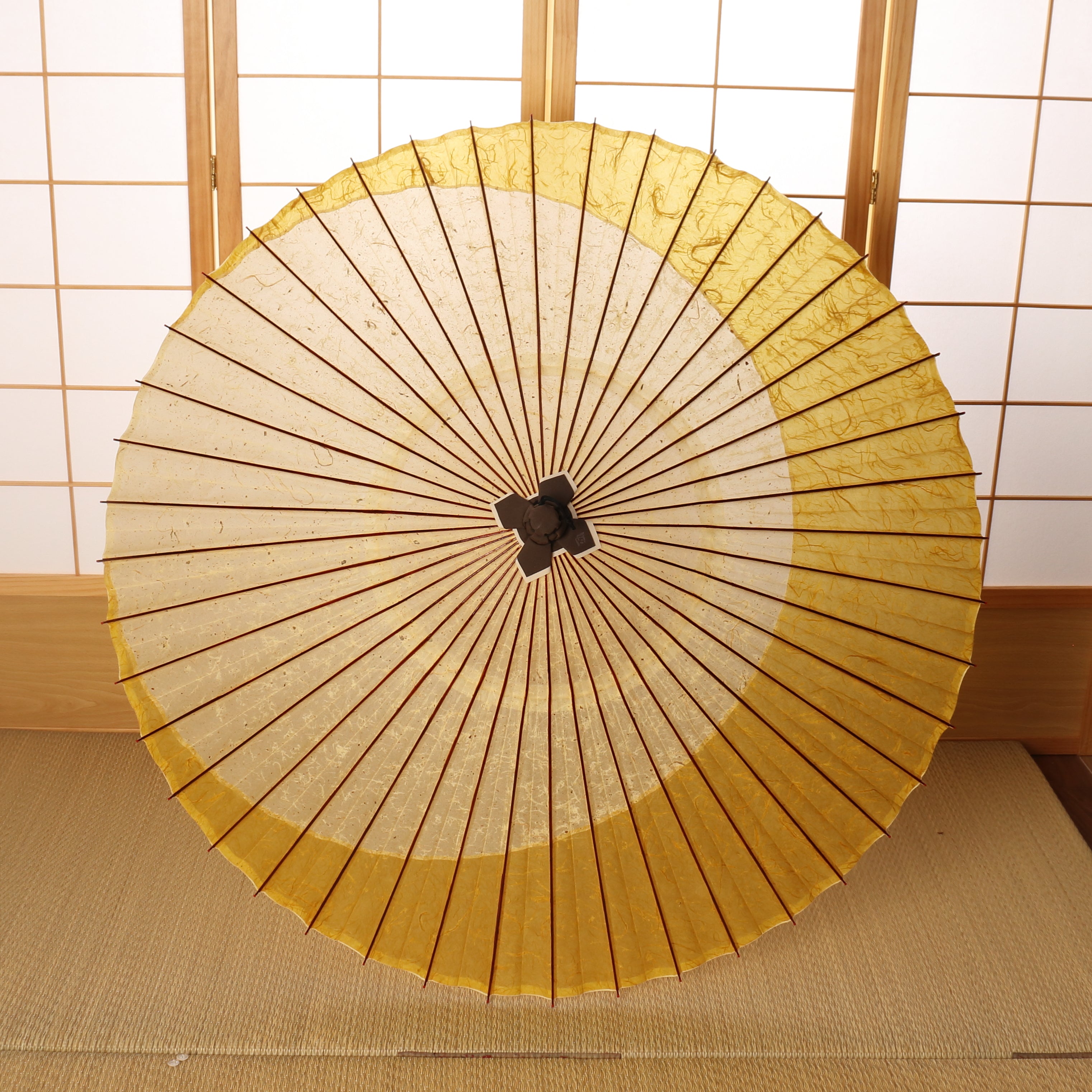 辻倉『極み』 特選月奴 吹雪に雲龍黄金