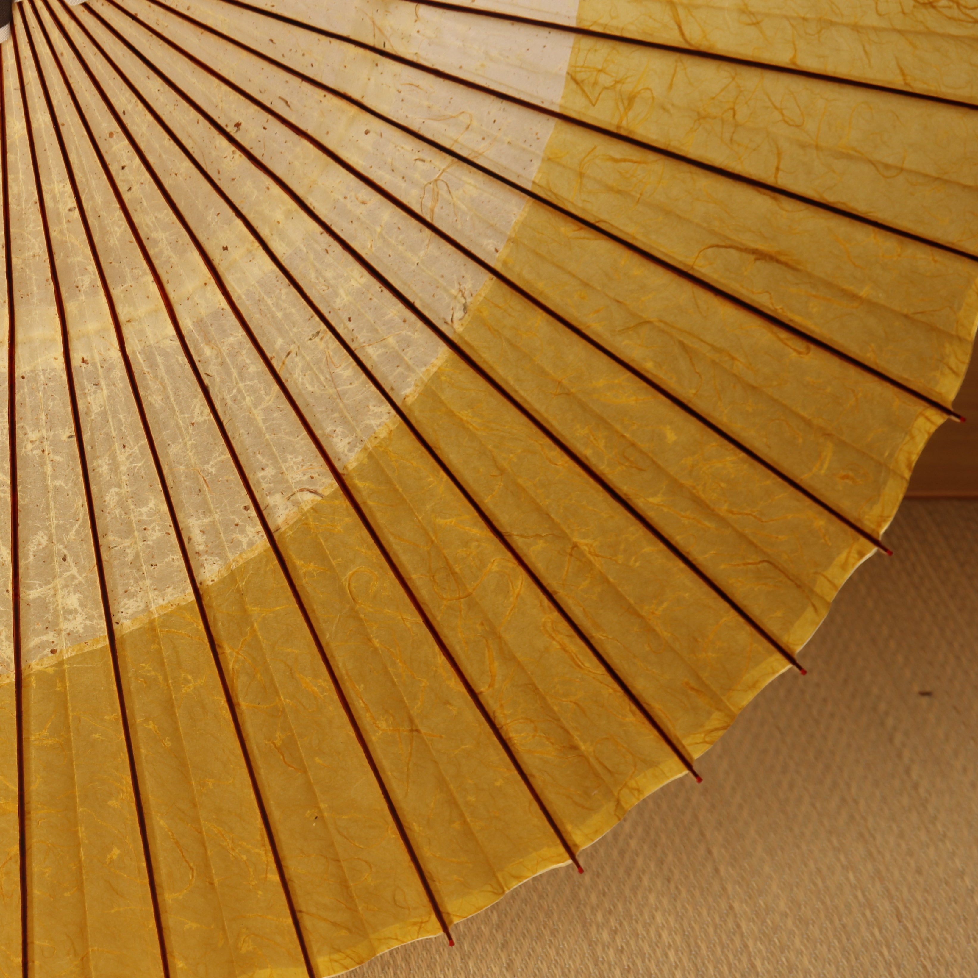 辻倉『極み』 特選月奴 吹雪に雲龍黄金