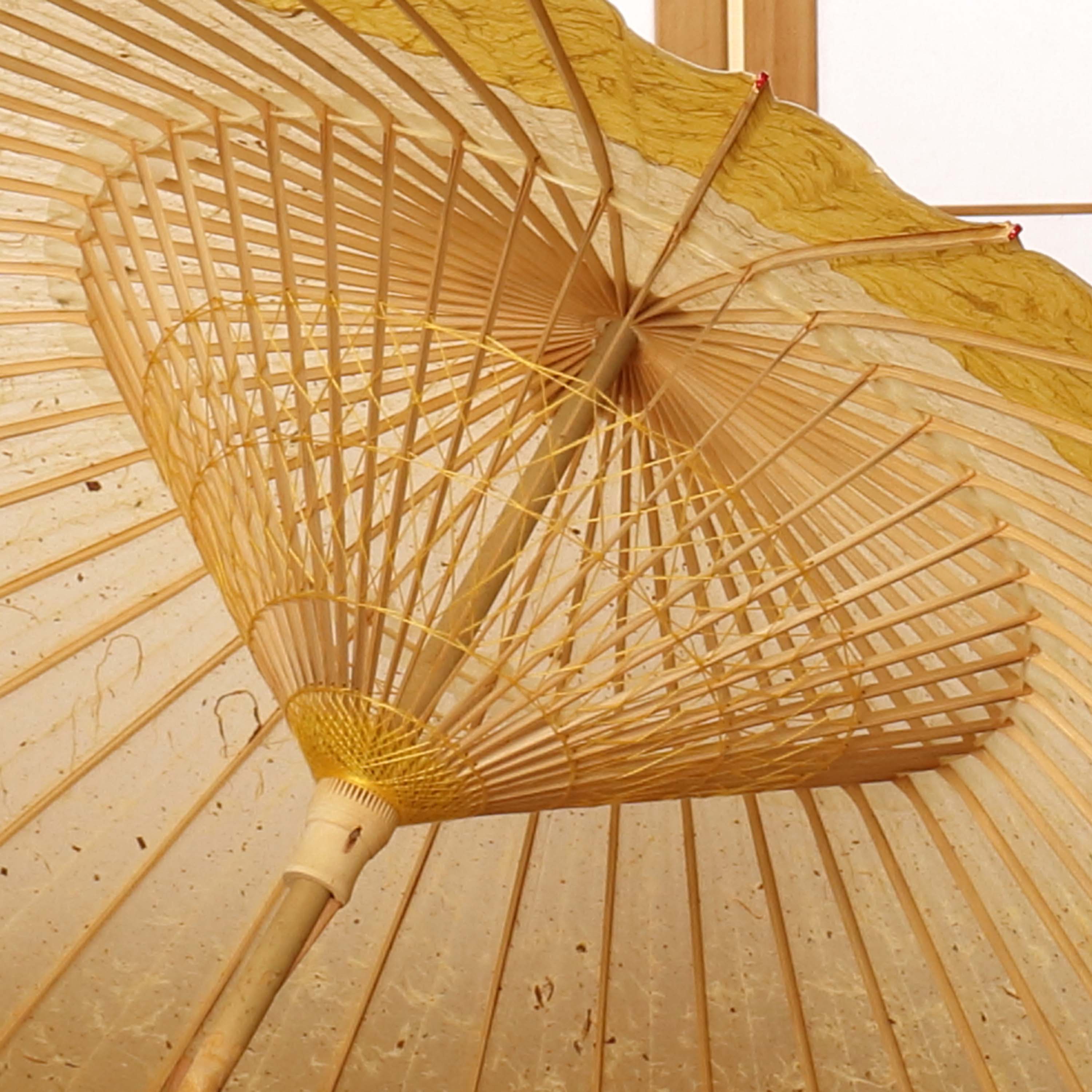 辻倉『極み』 特選月奴 吹雪に雲龍黄金