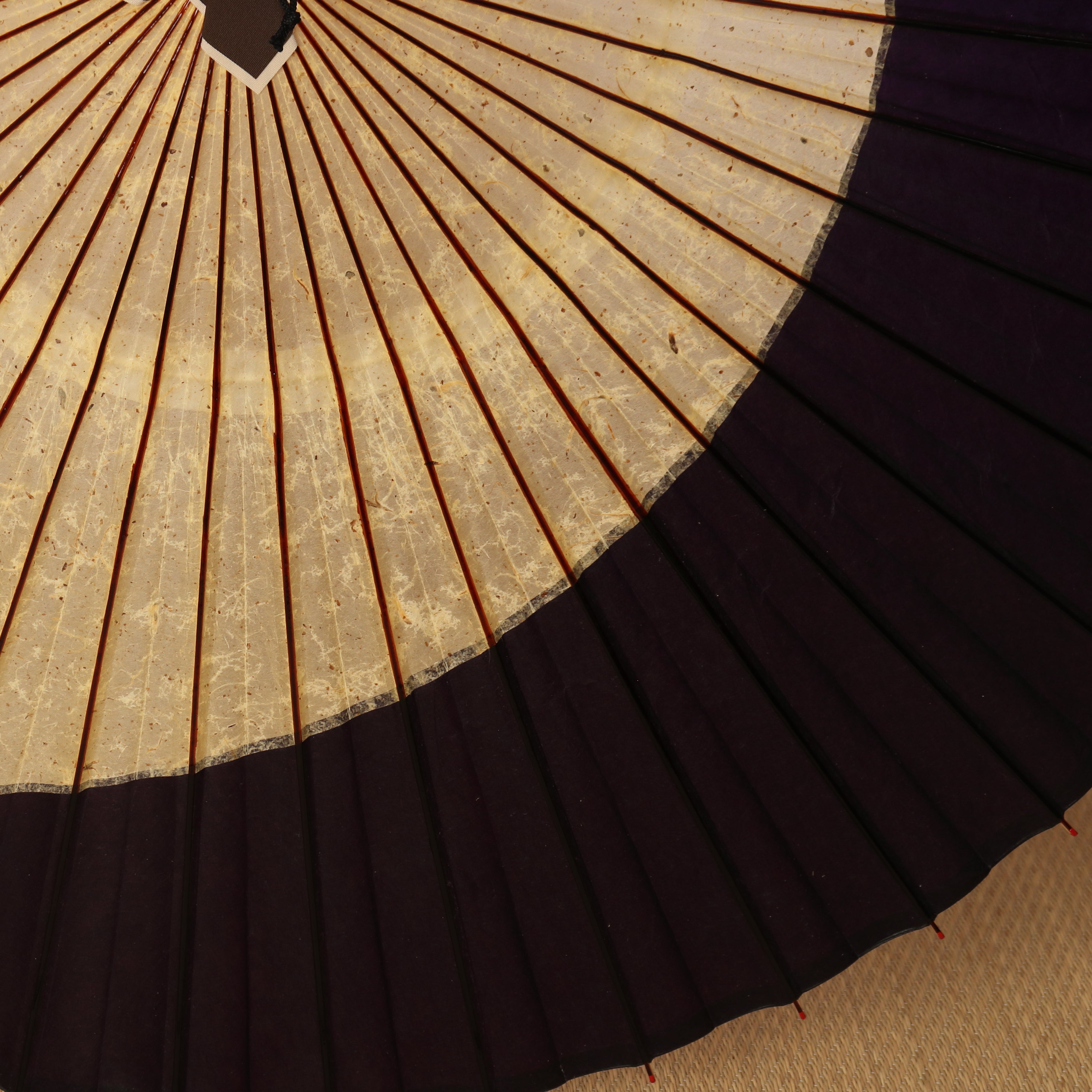 辻倉『極み』 特選月奴 吹雪に紫紺