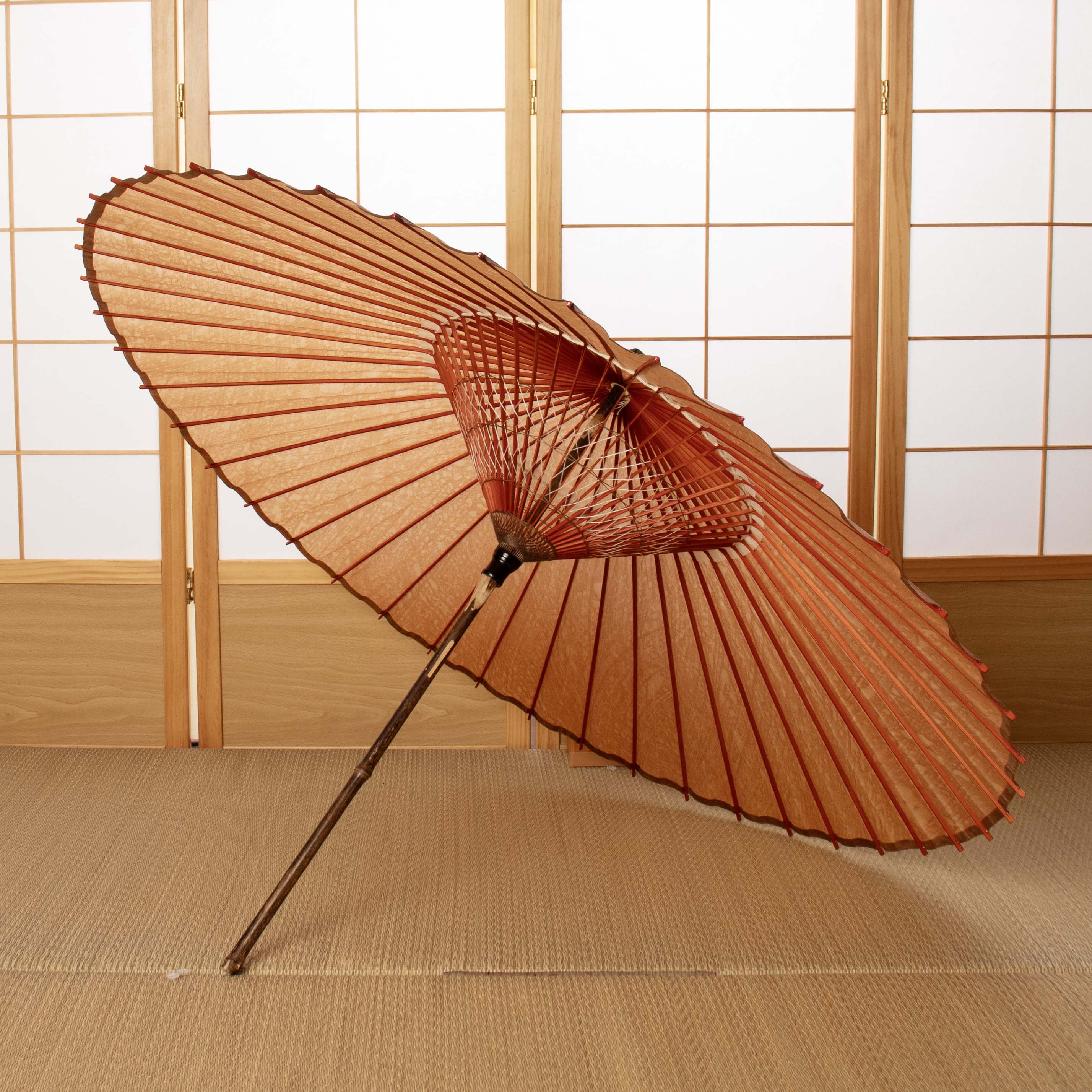 辻倉特撰無地 黒竹 柿渋染