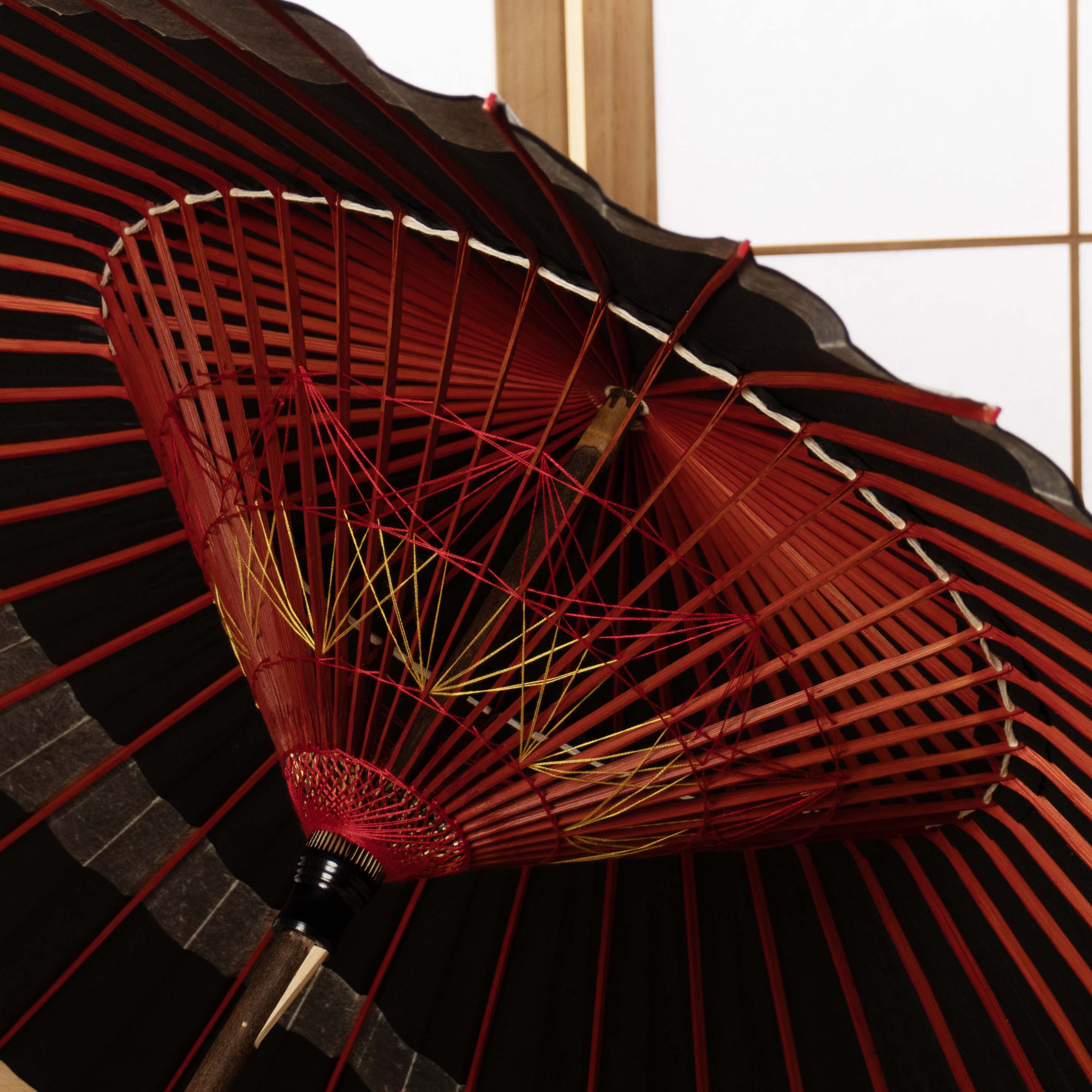 古典柄 巴『菊唐草 漆黒に金』