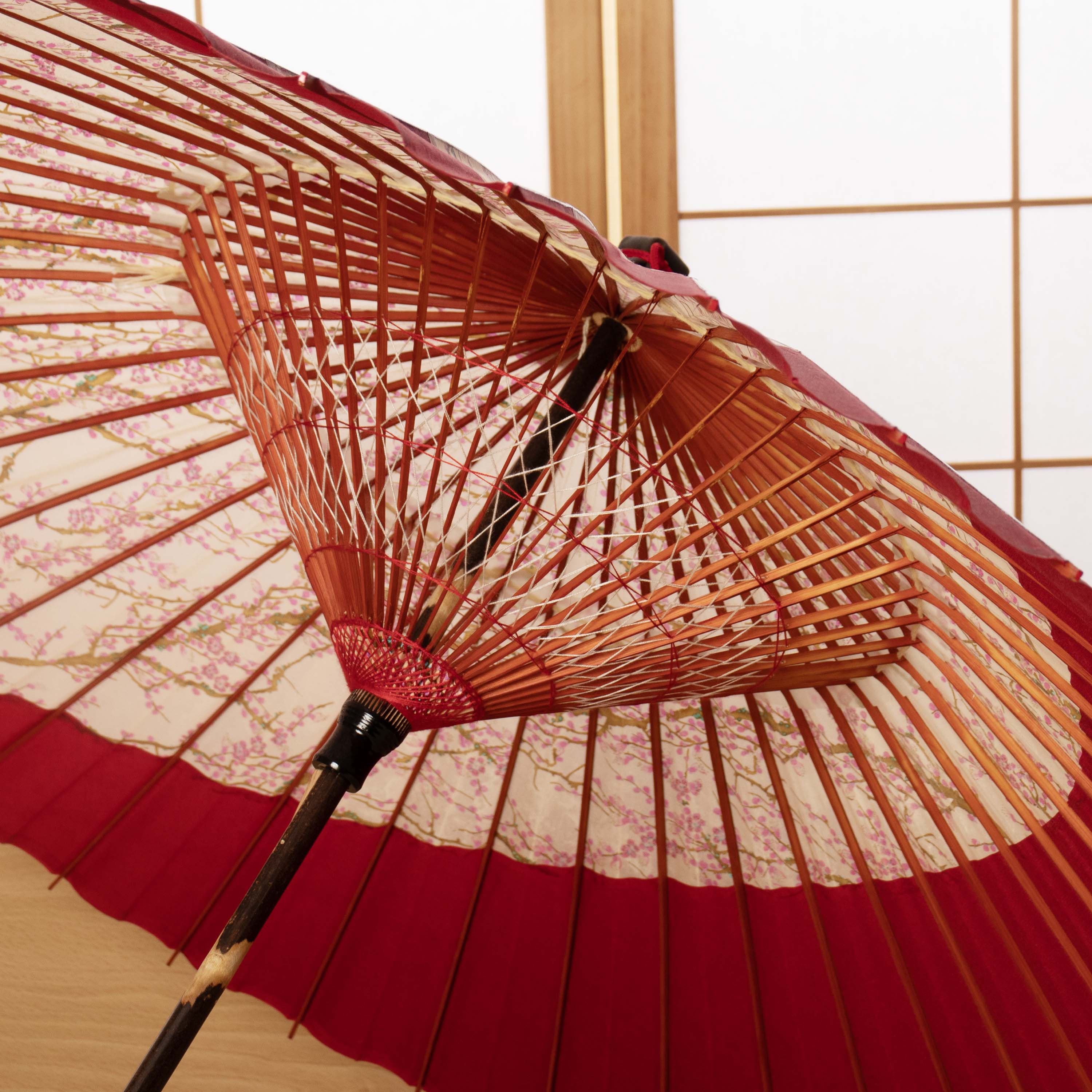 特選月奴  紅梅流水『桃花月』