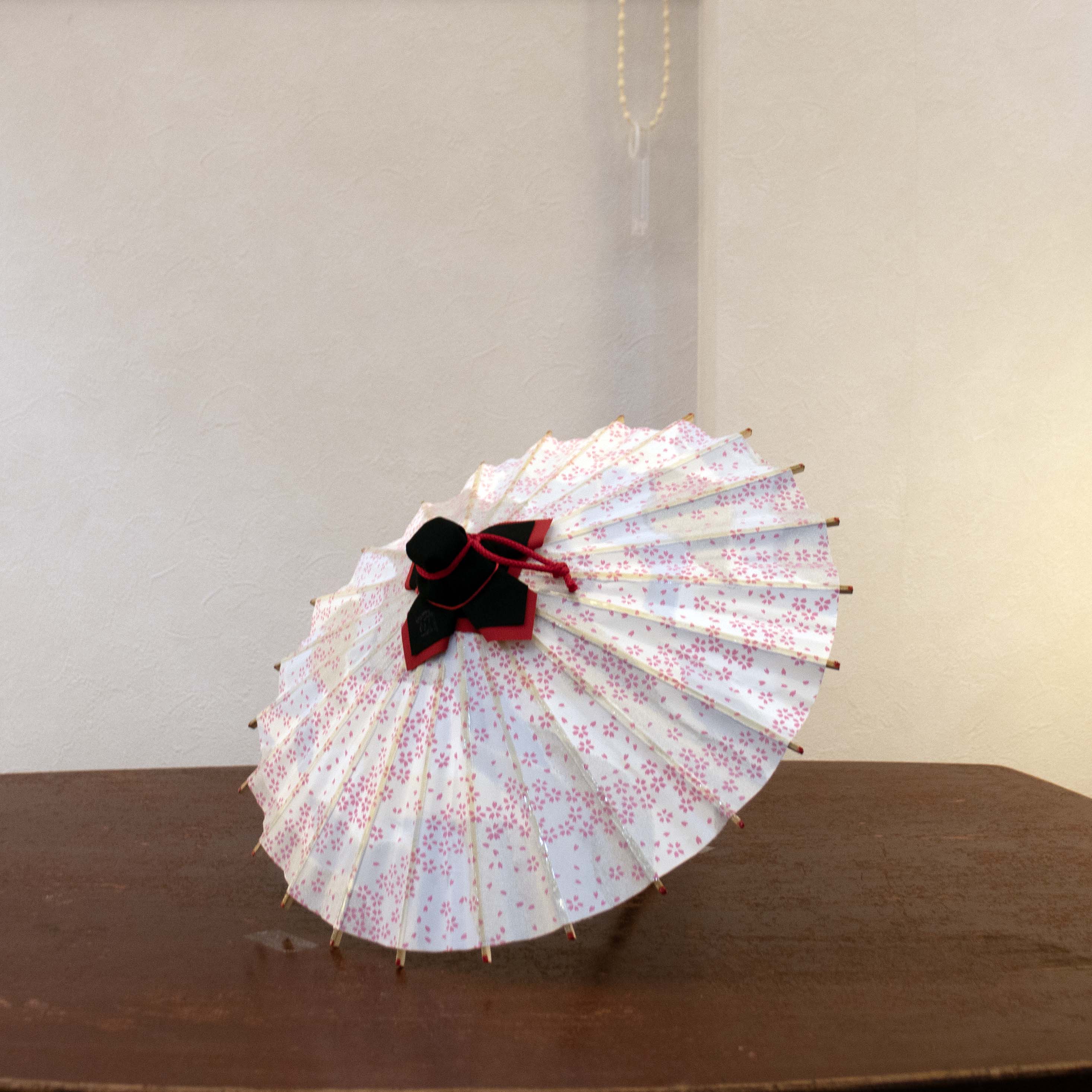 姫和傘  『花かすみ』銀