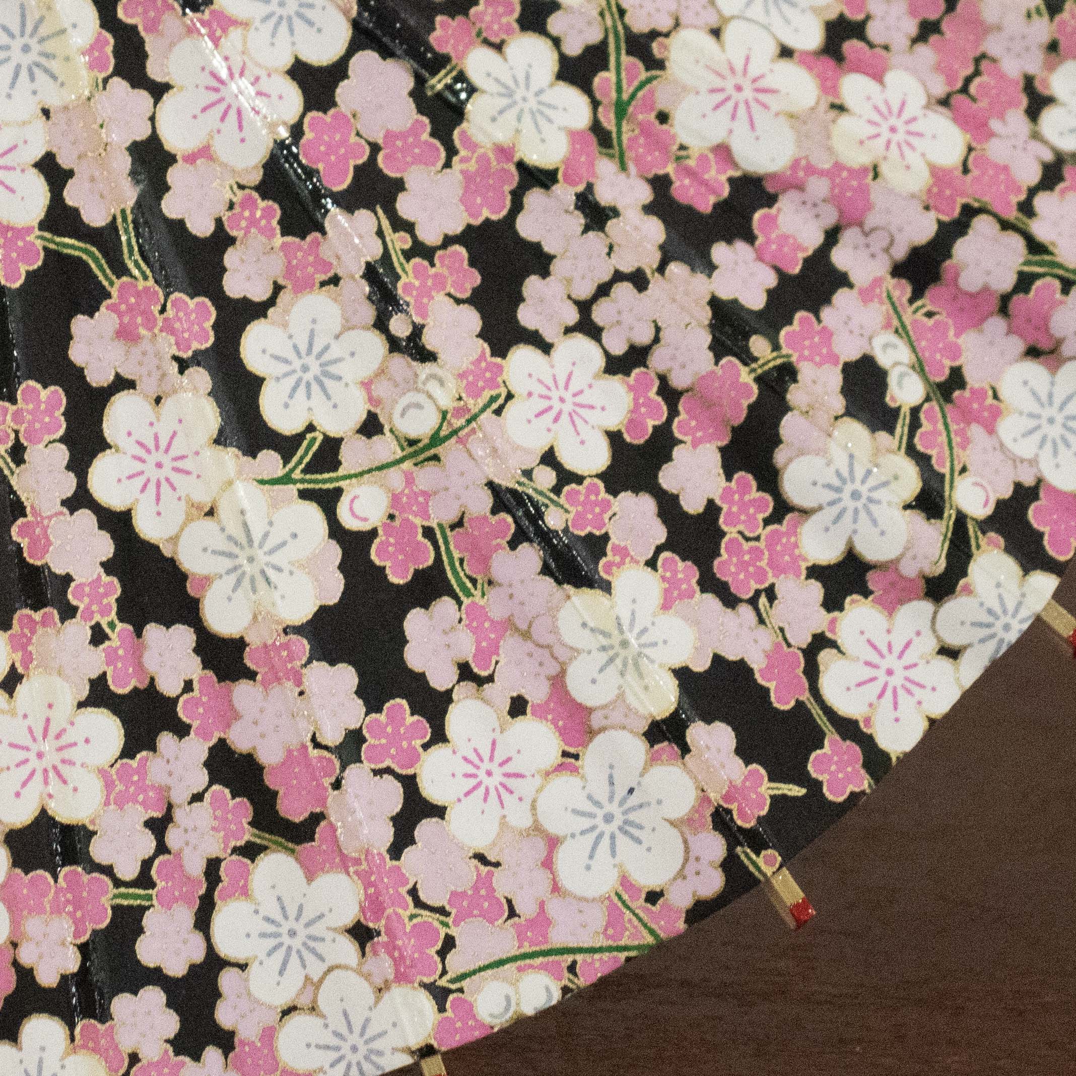 姫和傘 『黒地に梅模様』