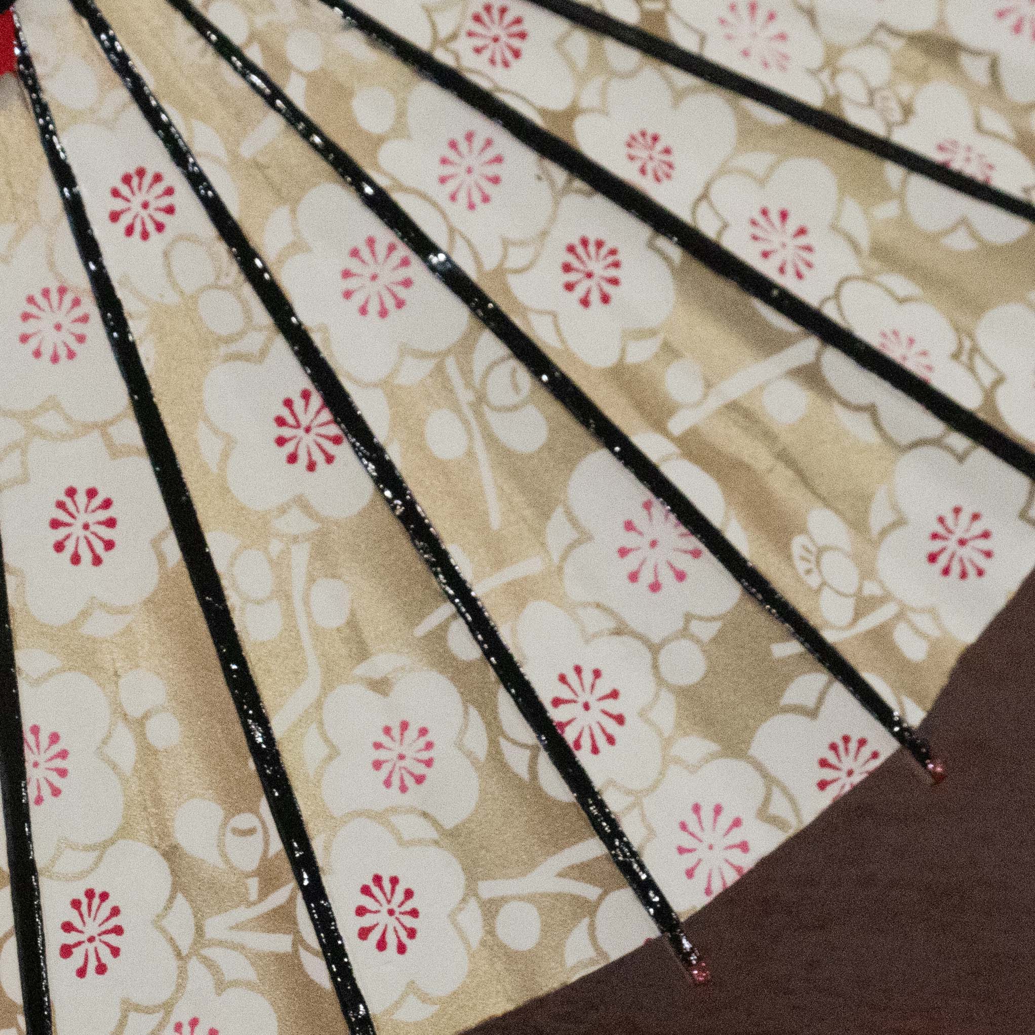 姫和傘 『金彩 白梅』 黒漆