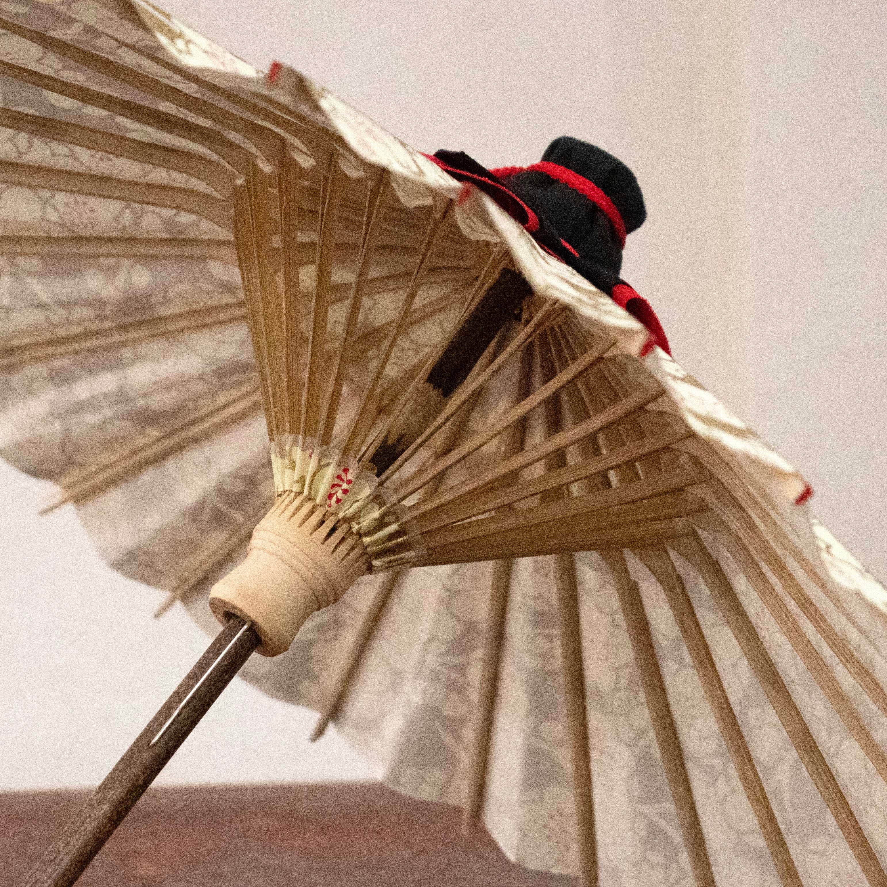 姫和傘 『金彩 白梅』 黒漆