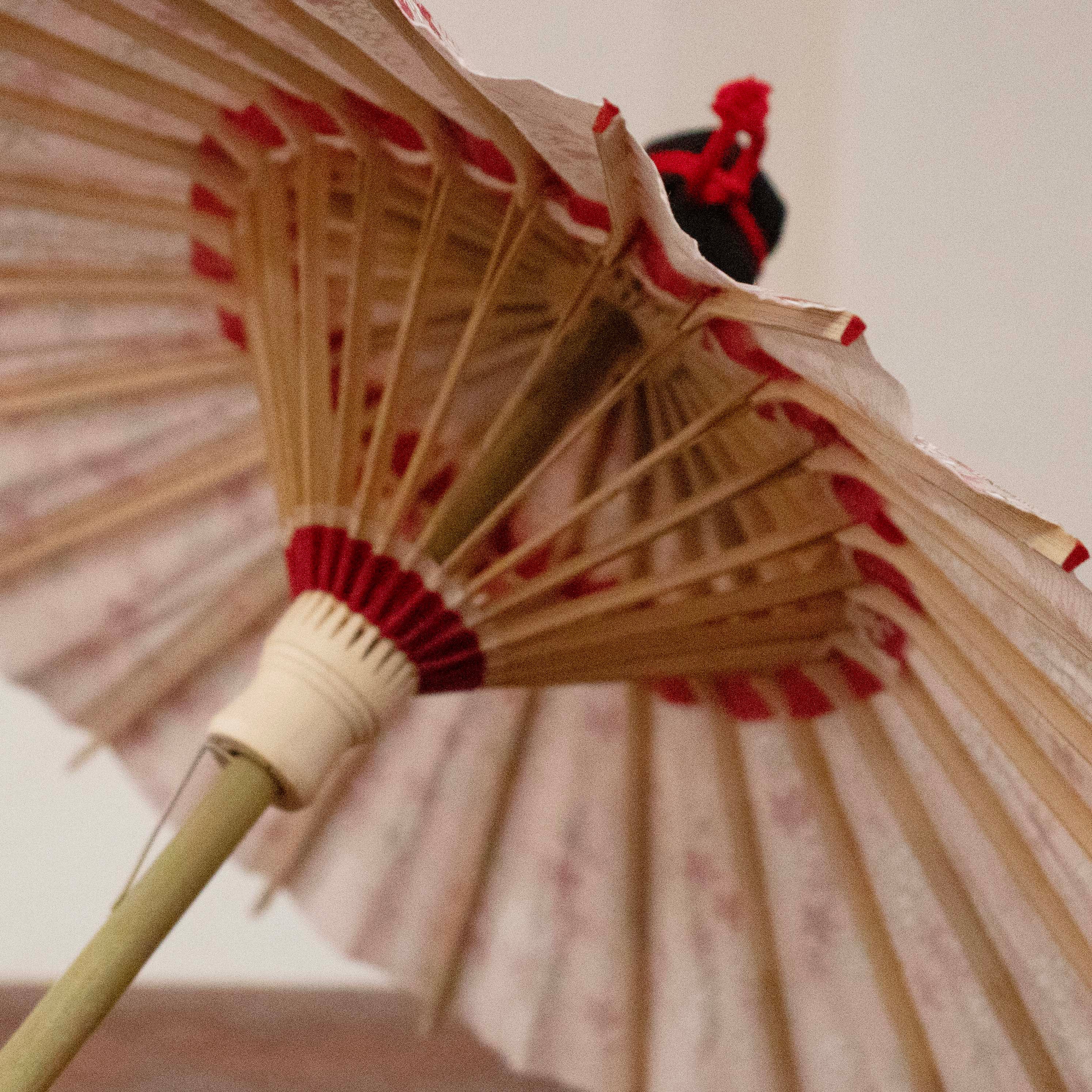 姫和傘 『川面に桜』ピンク