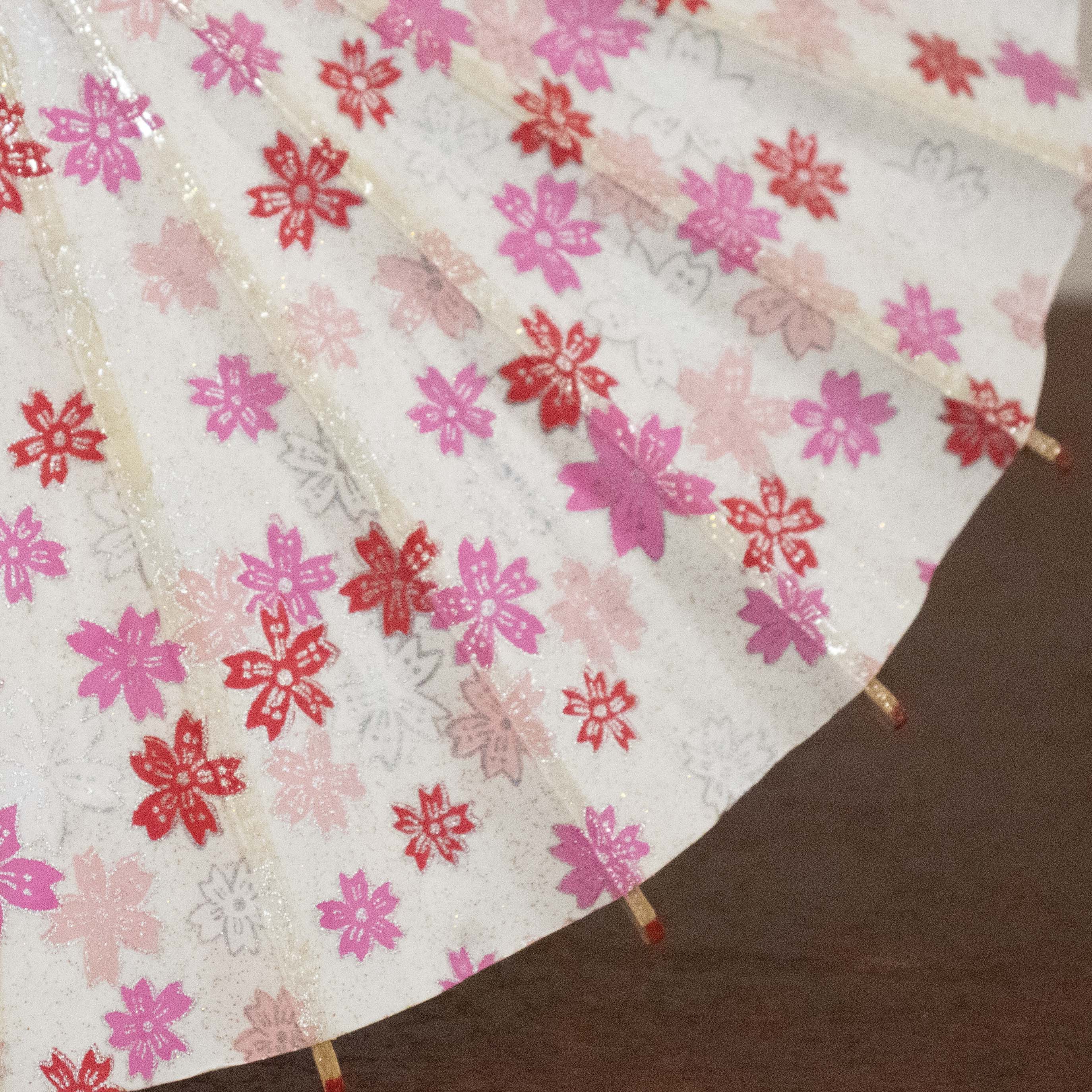 姫和傘 『リボン桜』