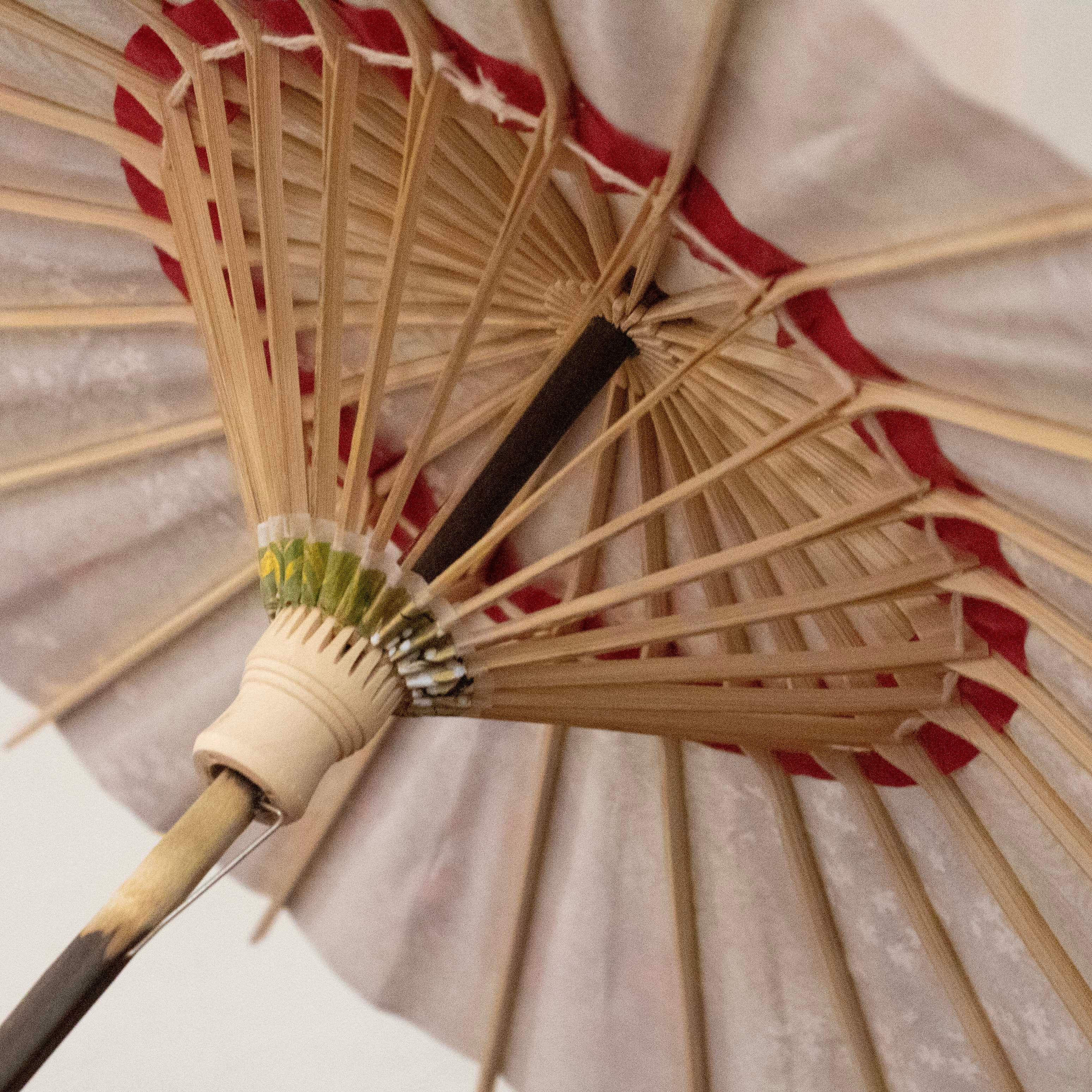 姫和傘 大寸 『金彩 観世流水』若草色