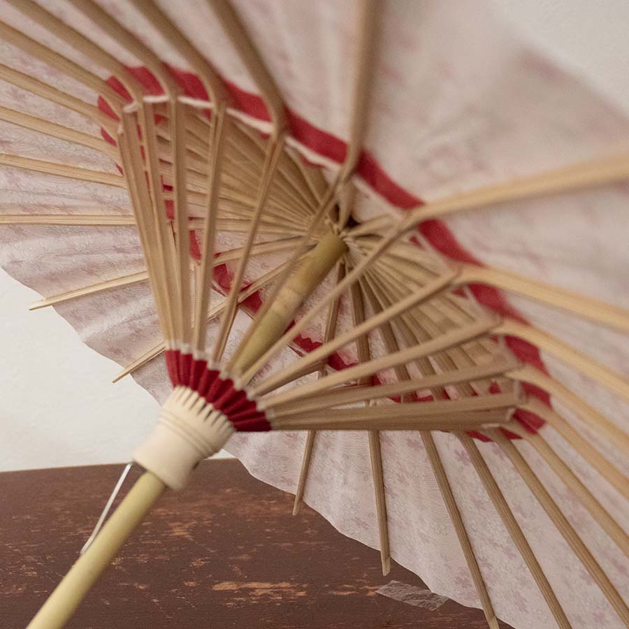 姫和傘  大寸『川面に桜』