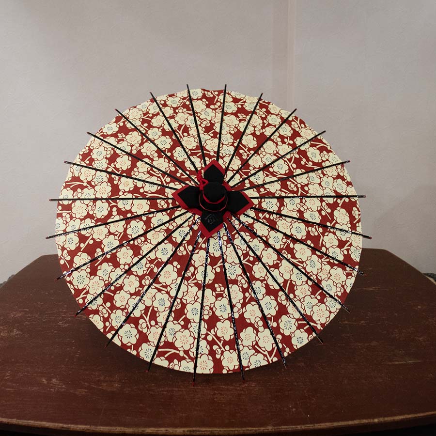 姫和傘  大寸『梅の花 赤』