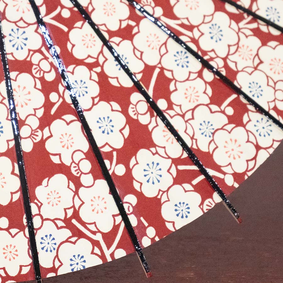 姫和傘  大寸『梅の花 赤』