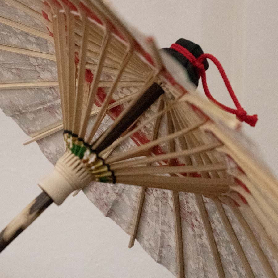 姫和傘  大寸『雲どり流水に白梅 緑』