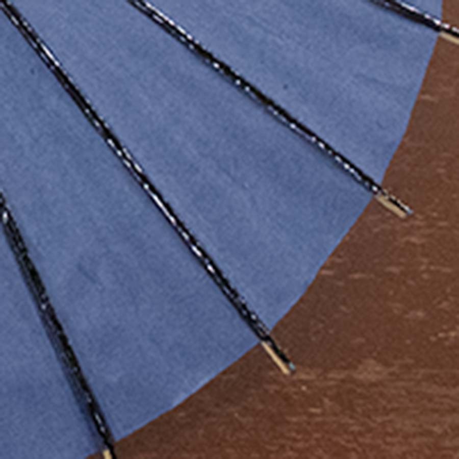 姫和傘  大寸『蒼』