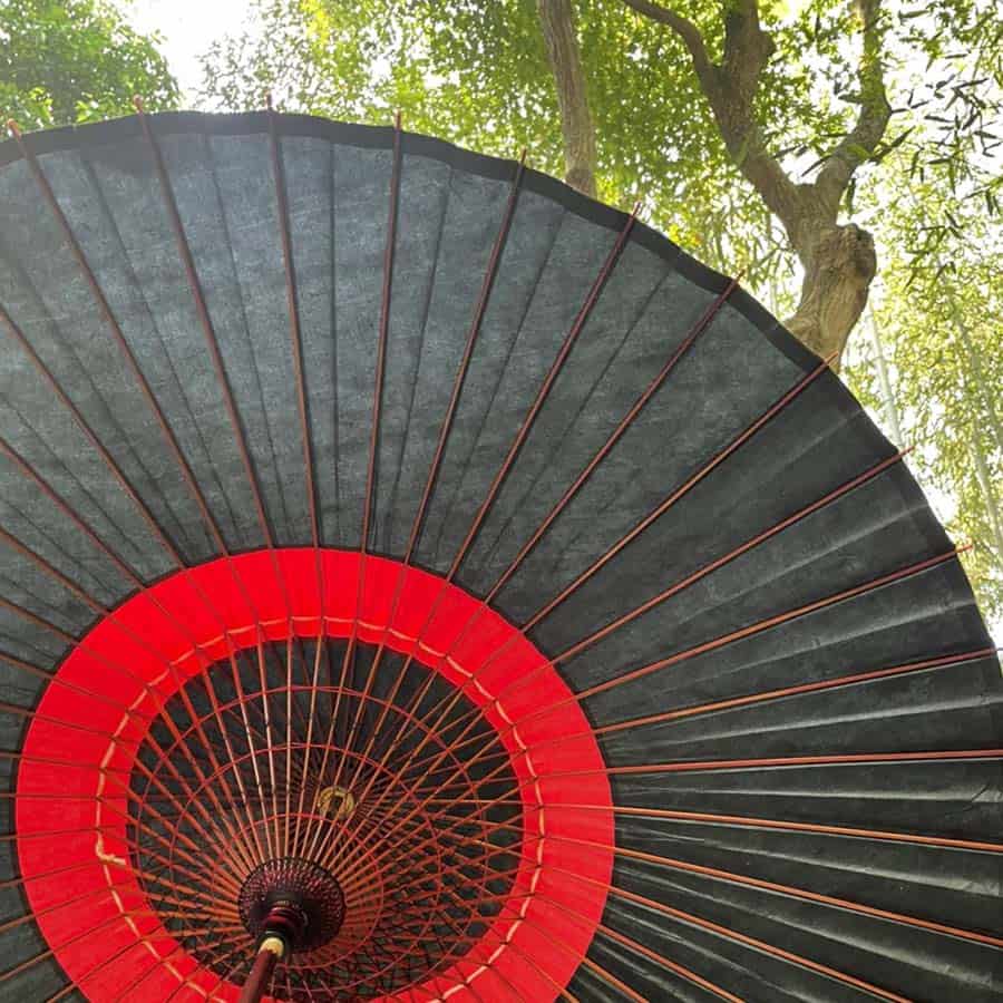 艶消し特選蛇の目柄 『漆黒に紅』